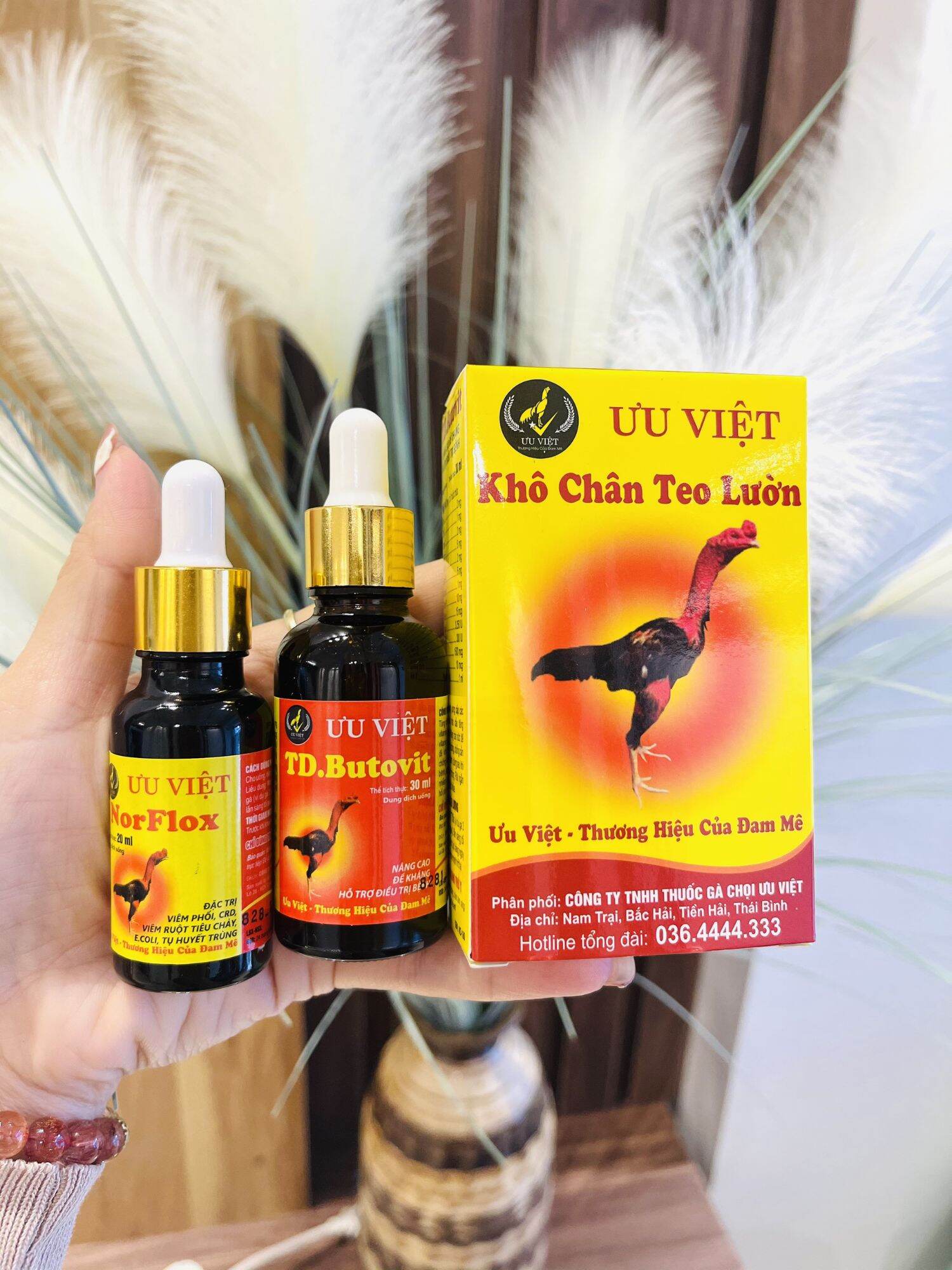 combo tr.ị khô chân teo lườn ốm trong