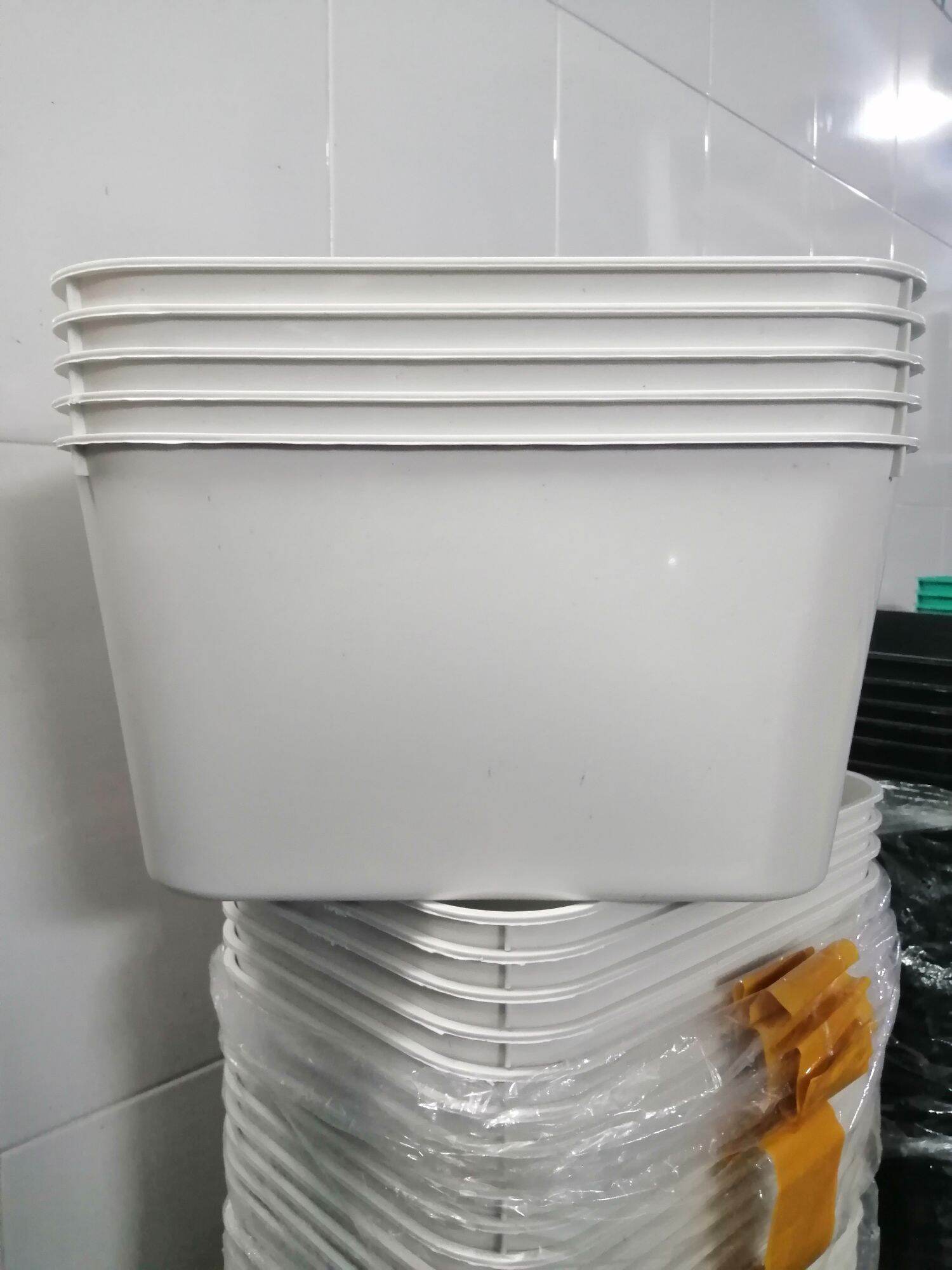 Combo khay nhựa 7l màu trắng nuôi ca, dưỡng cá