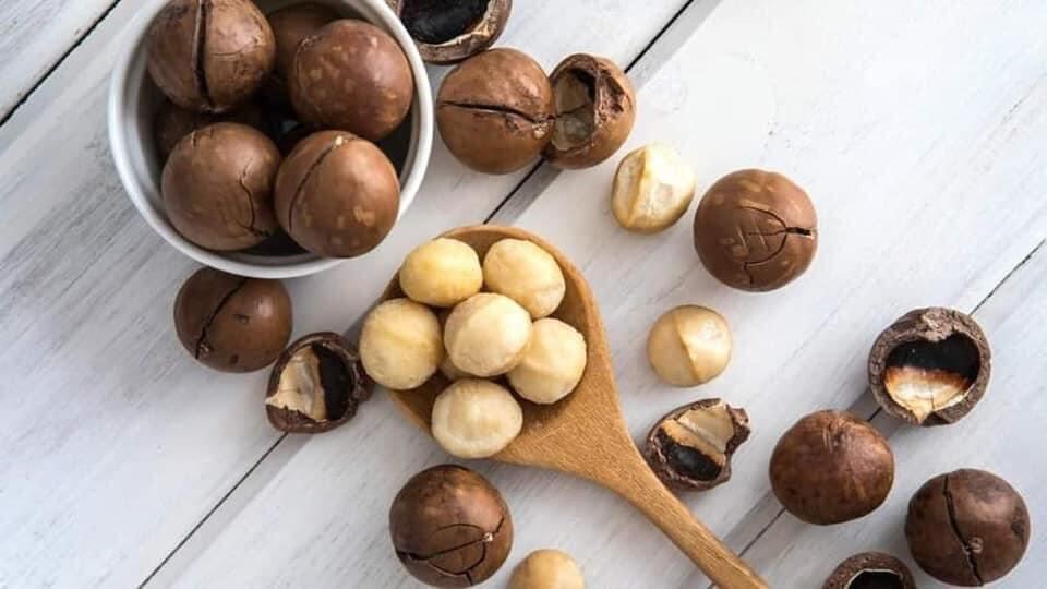 Macca bi đắk lắk