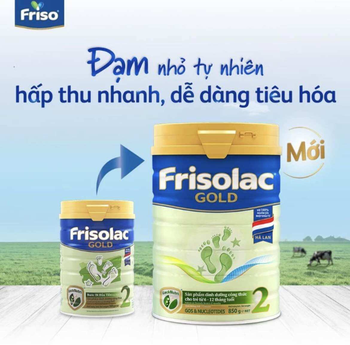 Sữa bột frisolac gold 2 850g