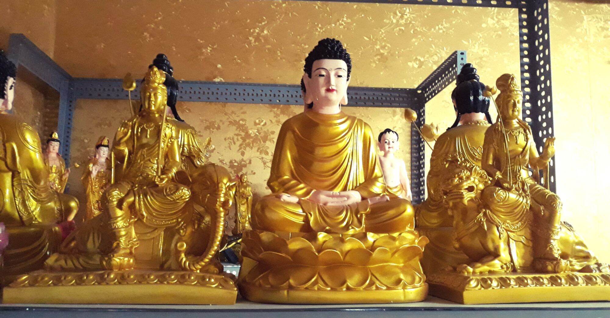 Tượng Phật Bổn Sư 50cm nhũ vàng