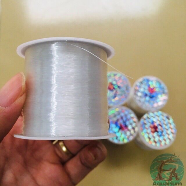 Cước tàng hình buộc rêu, cây thuỷ sinh