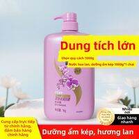 Rejoice | Dầu Gội Chống Ngứa Da Đầu Làm Mềm và Dưỡng Ẩm có Chiết Xuất Lanolin