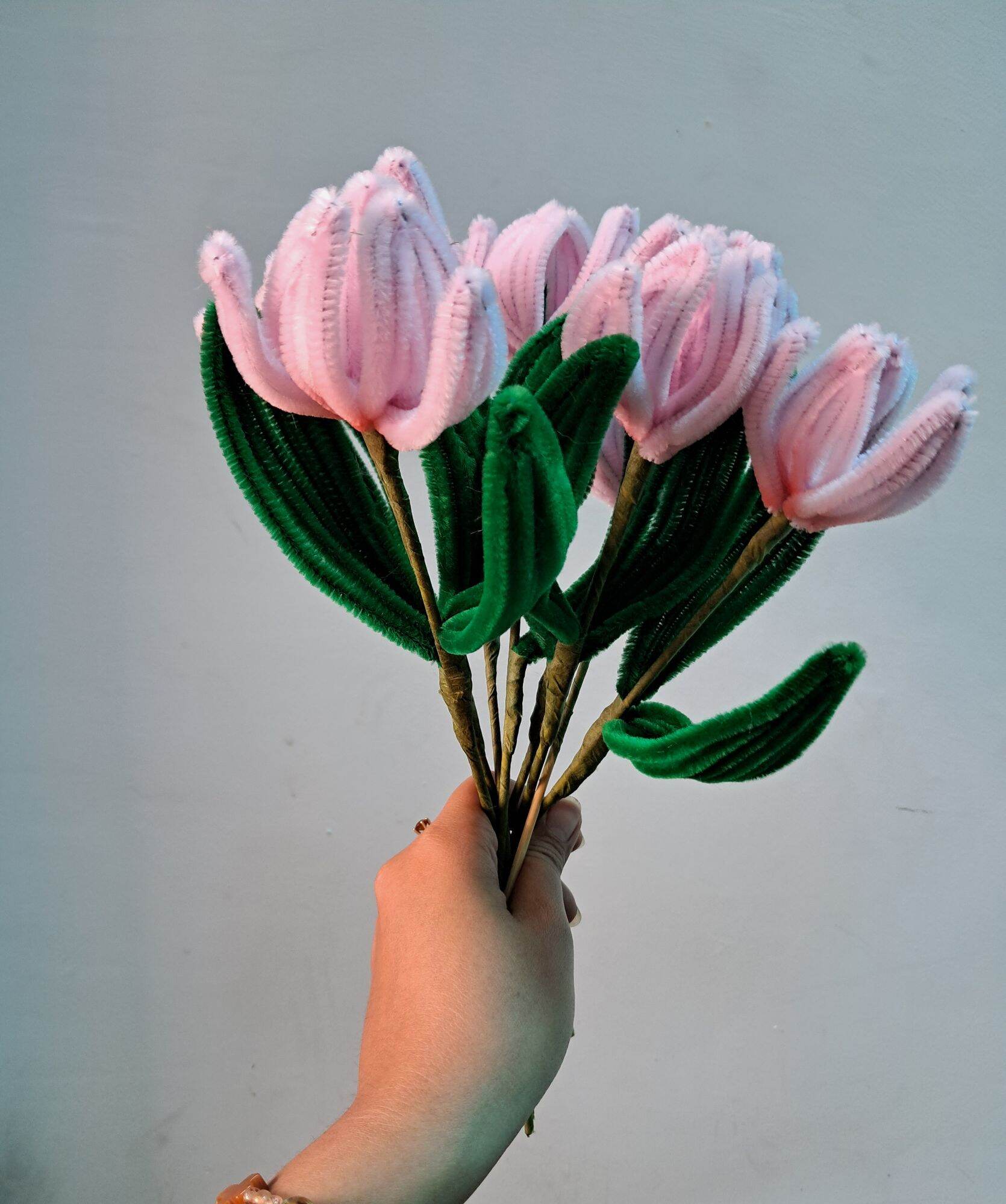 Hoa tulip bằng kẽm nhung