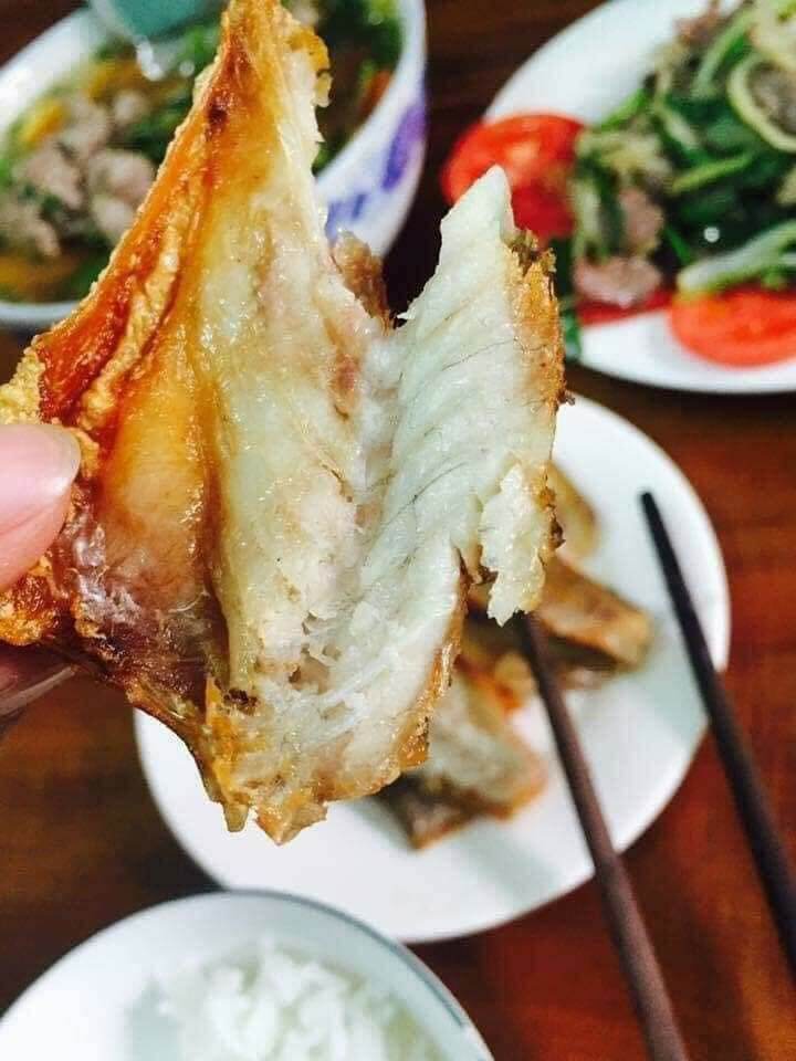khô cá dứa 165.000/3con/1kg.