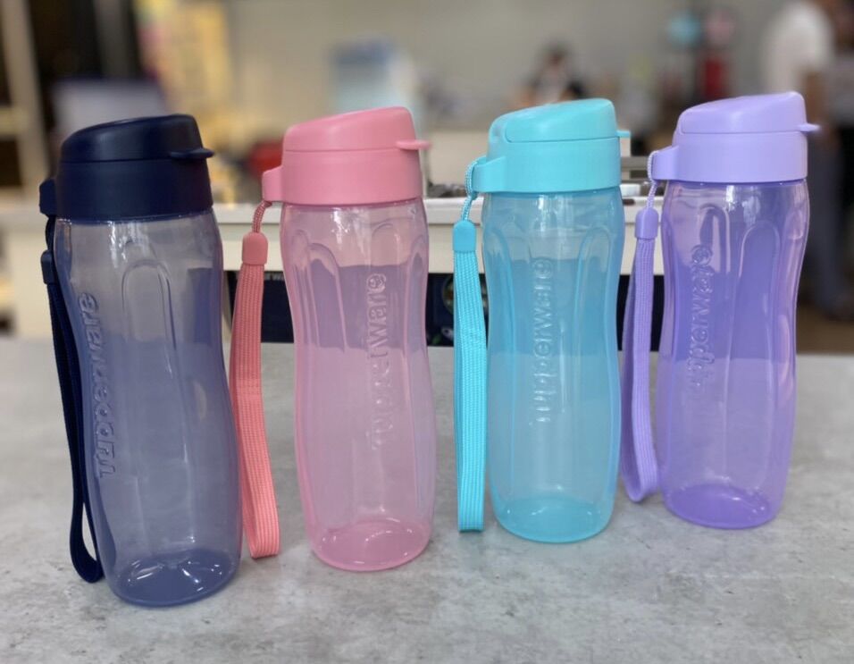 Bình nước eco bottle gen 2 500ml