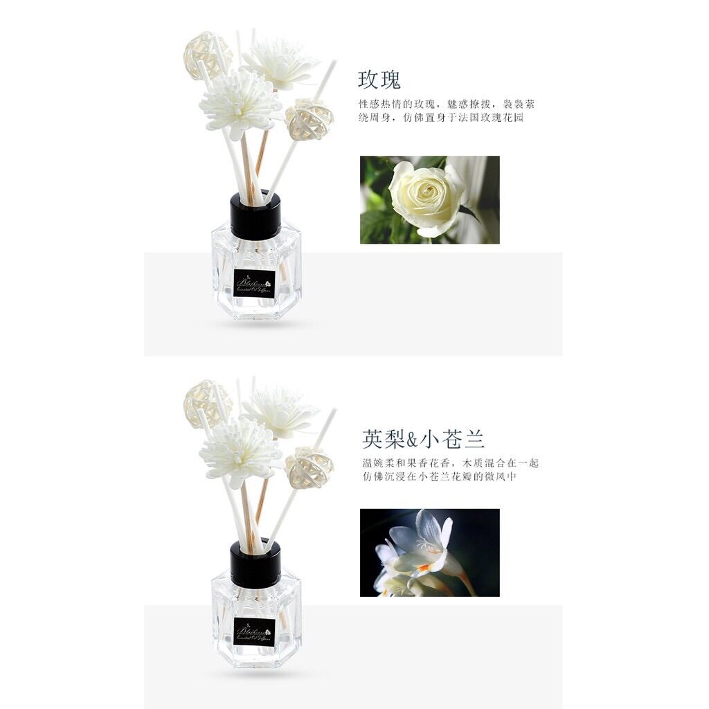 [FREESHIP]Tinh Dầu Nước Hoa Để Phòng Mẫu Mới