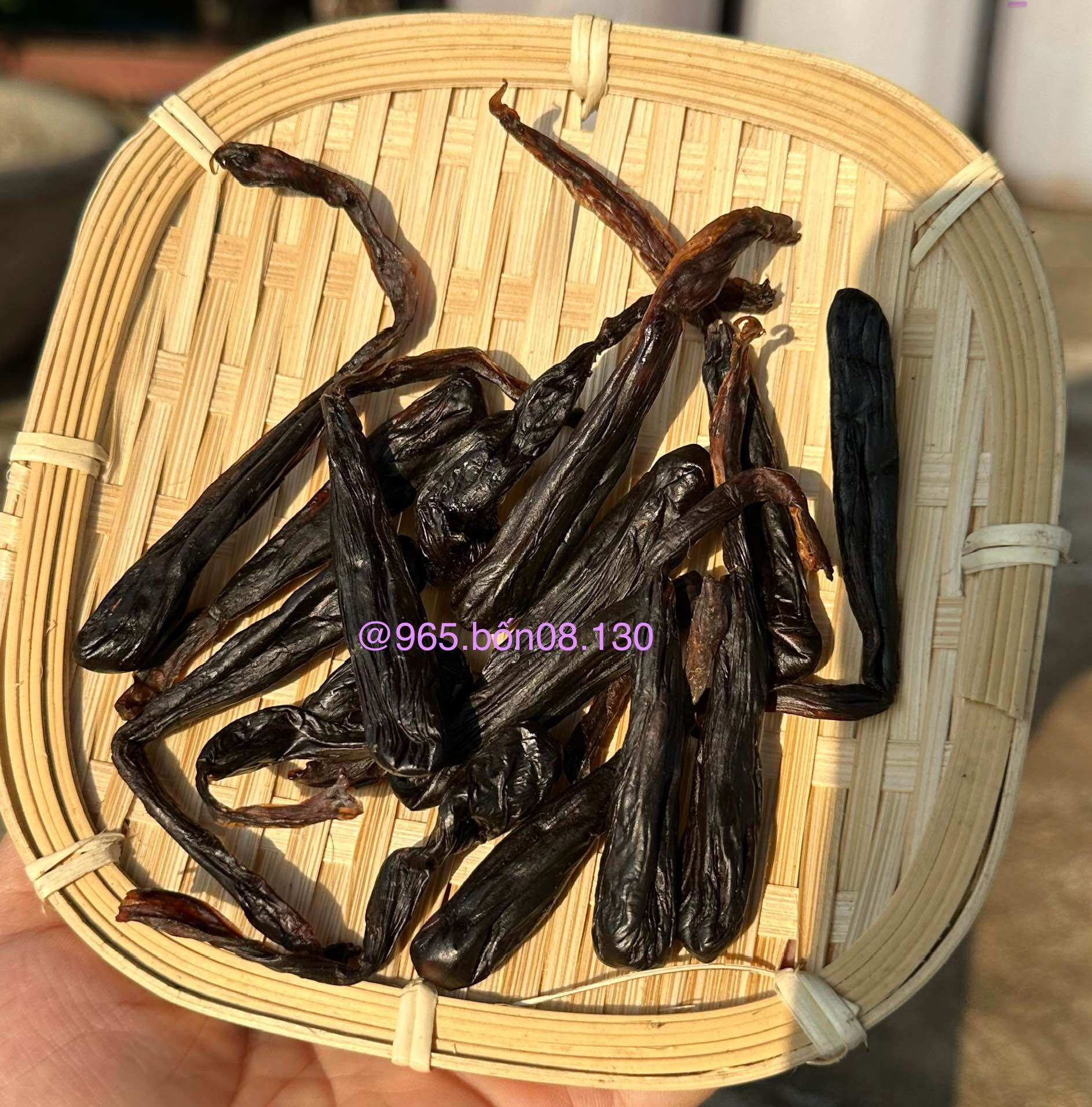 [CHÍNH HÃNG] Mật Kì Đà Chuẩn Rừng Lai Châu (Tây Bắc Shop)