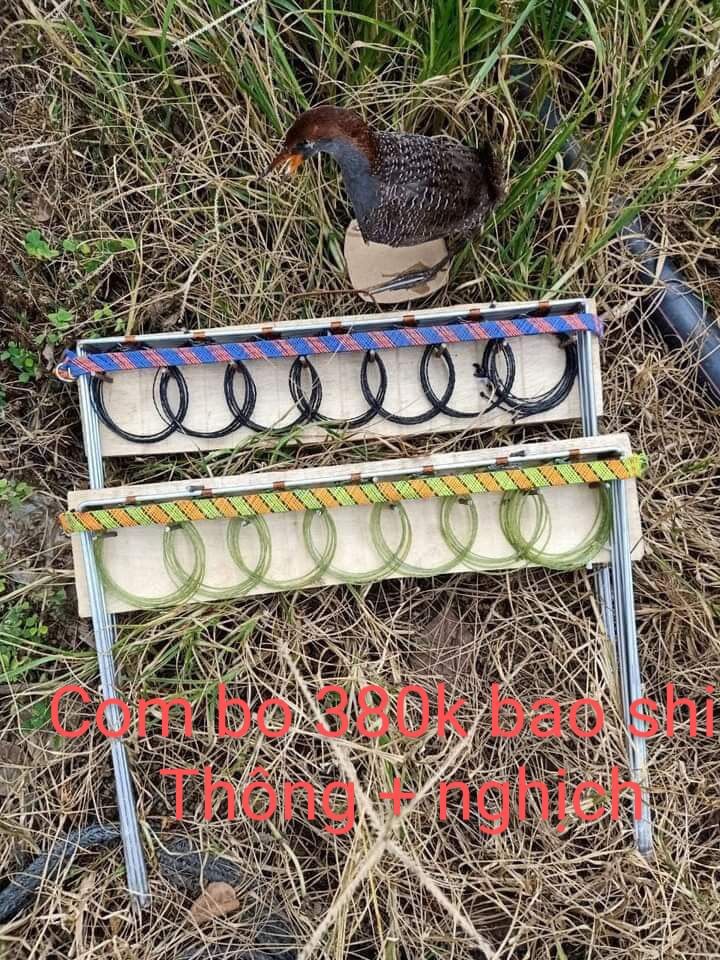 Thòng khung bẫy chằng nghịch bộ 7khung 7 vòng mỗi vòng 6cm có khoen đồng đúc chống xoắn 360