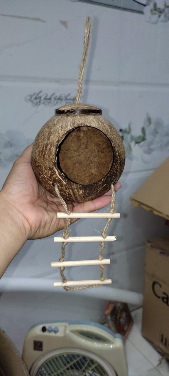 Tổ Gáo Dừa có Thang - đã đánh bóng