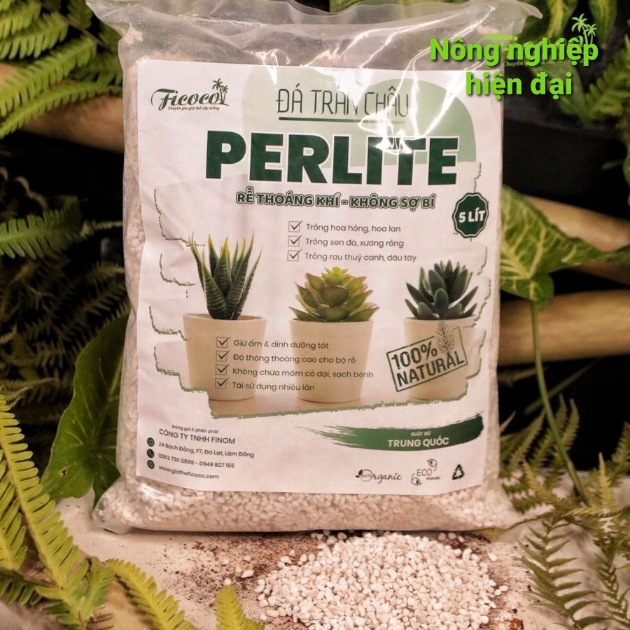 Đá Perlite Ficoco - đá Trân Châu trồng cây - Cực phẩm cho sen đá, xương rồng