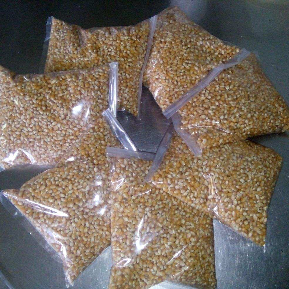 HẠT BẮP MỸ LÀM BẮP RANG BƠ 1KG