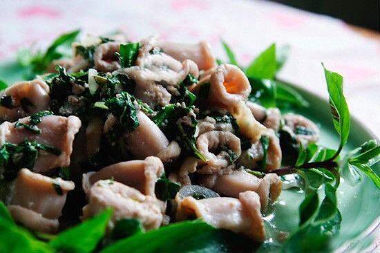 Lá đắng( lá lằng) khô hảo hạng nghệ an