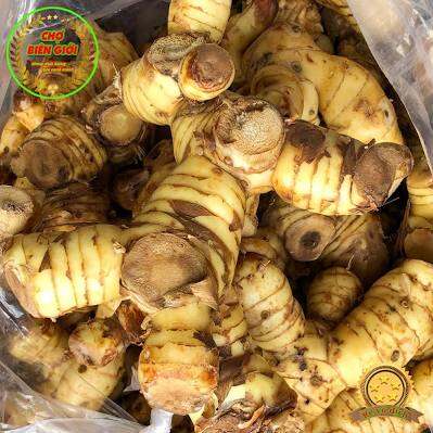 0,5kg riềng tươi nhà trông