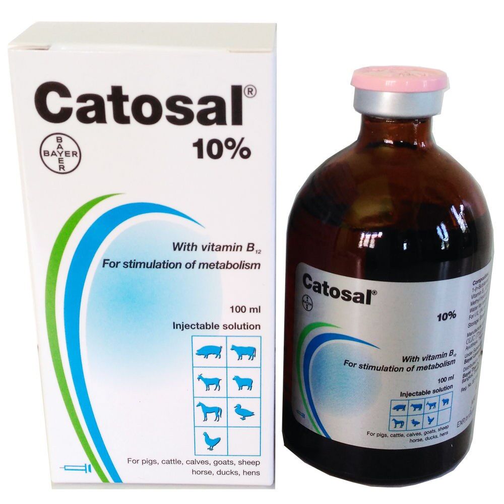 Catosal 10% - Thuốc bổ cao cấp cho chó, mèo, gà đá...100ml