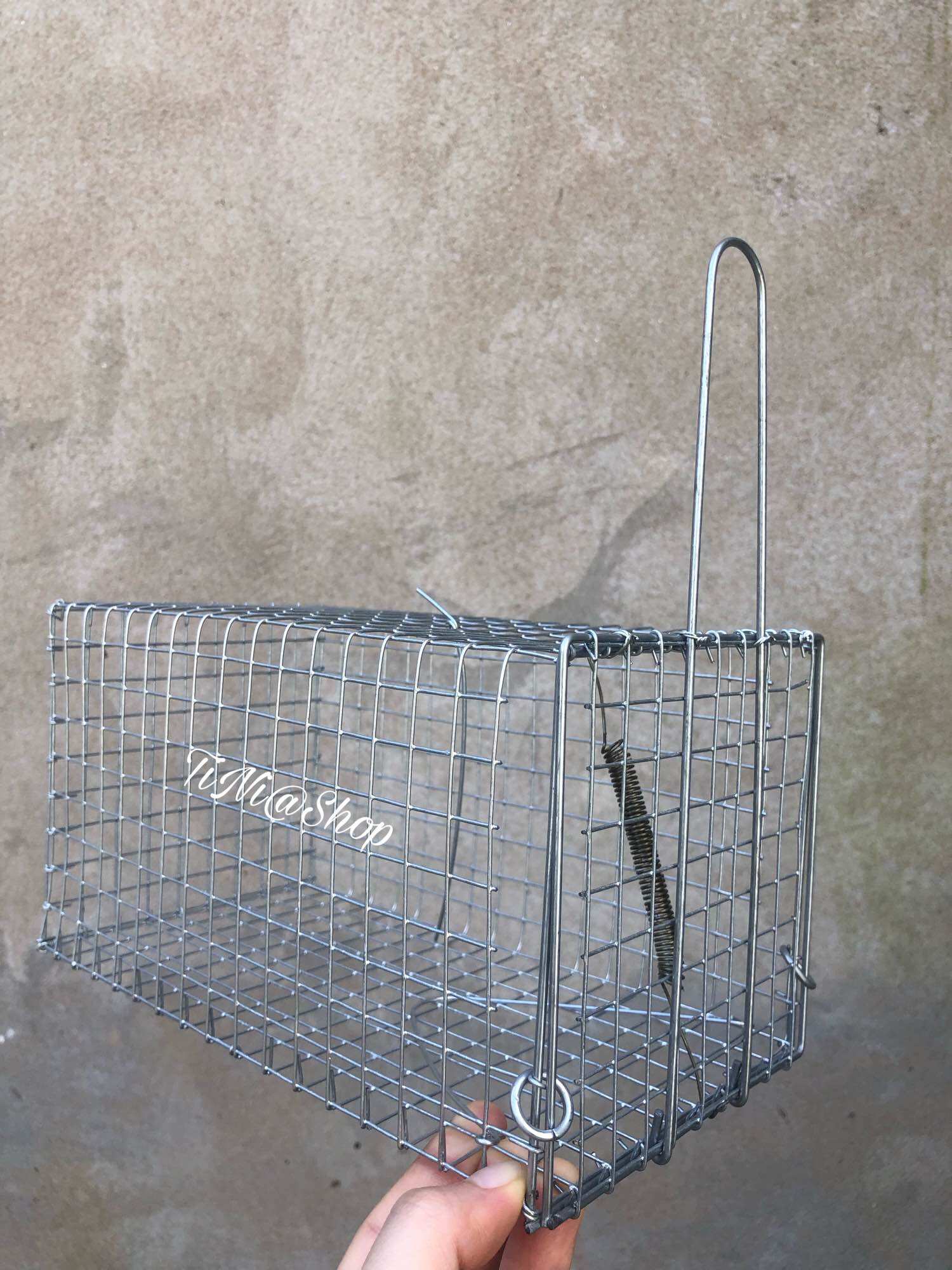 Combo 5 Bẫy Chuột Cống Nhum 12x12x22cm