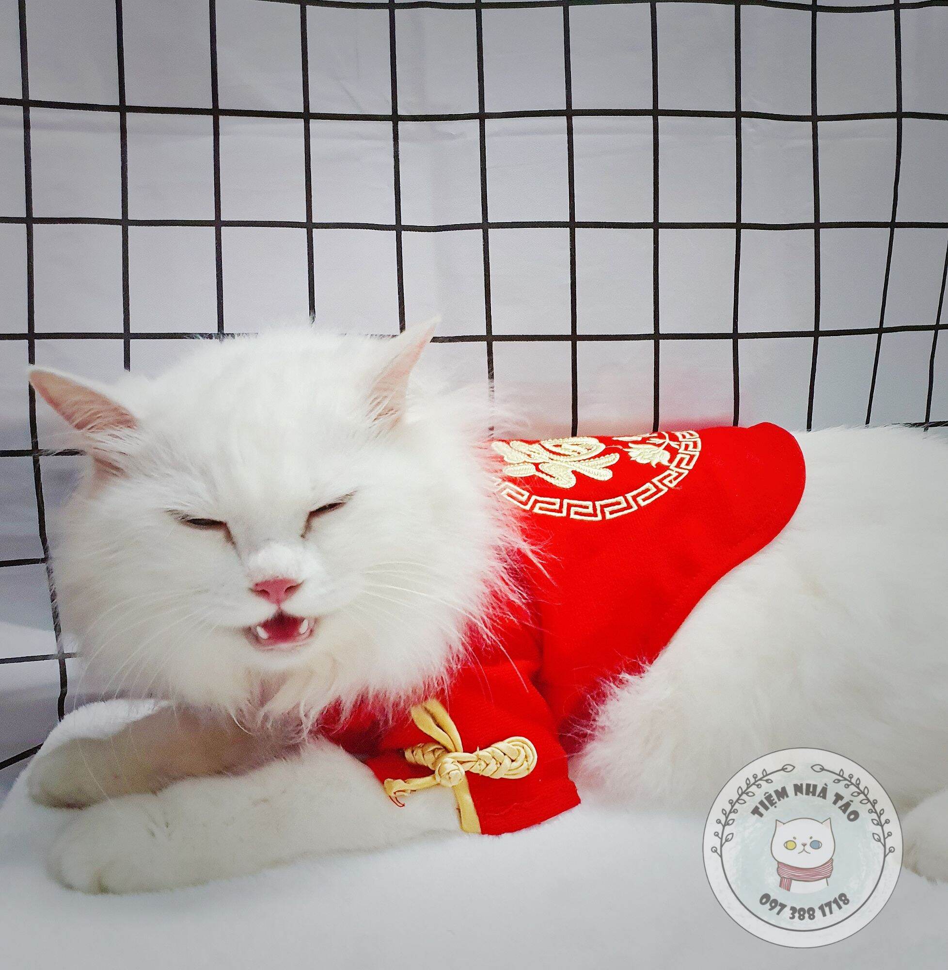 Áo Tết xinh xắn cho thú cưng
