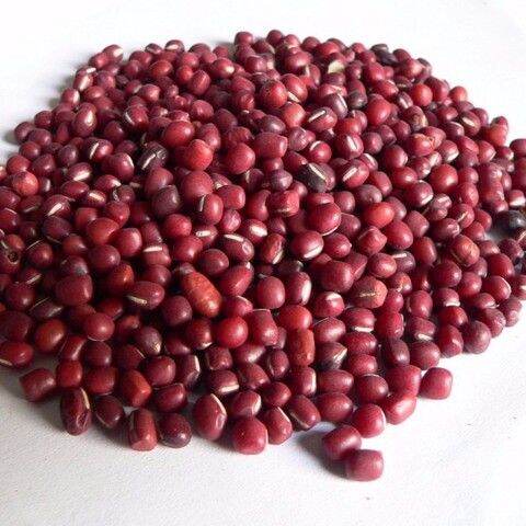 500Gr Đậu Đỏ Hạt Nhỏ Thuần Chủng Đắc Lắc