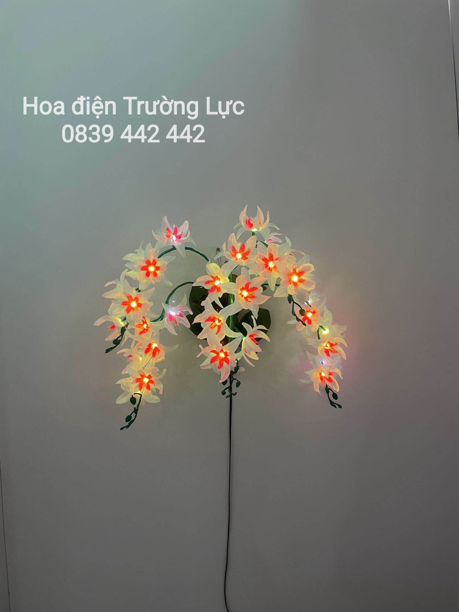 Hoa lan treo tường - hoa trang trí có đèn