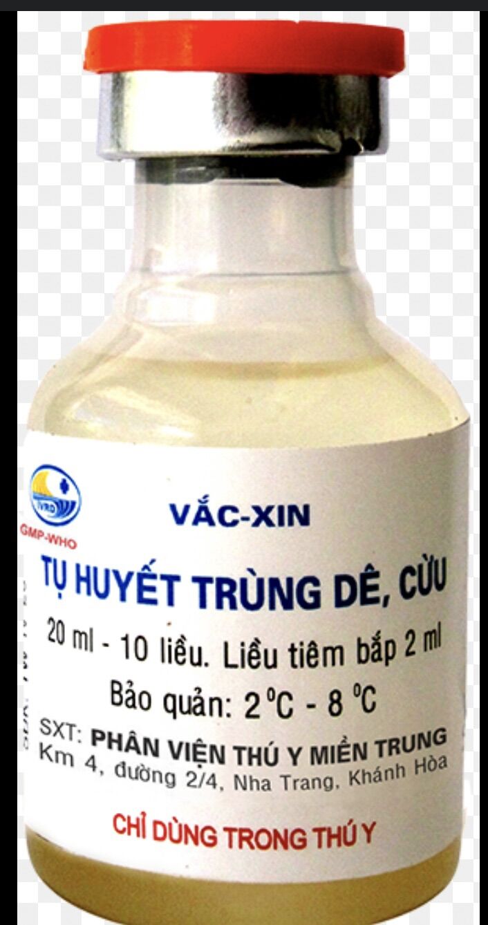 1 Chai Tụ Huyết Trùng Cho Dê, Cừu 20ml.
