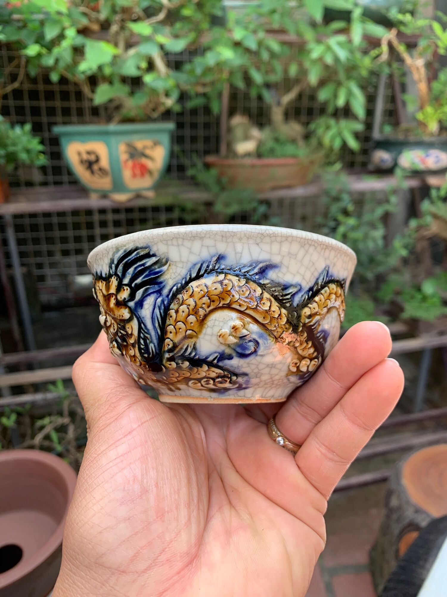 Chậu trồng cây bonsai mini
