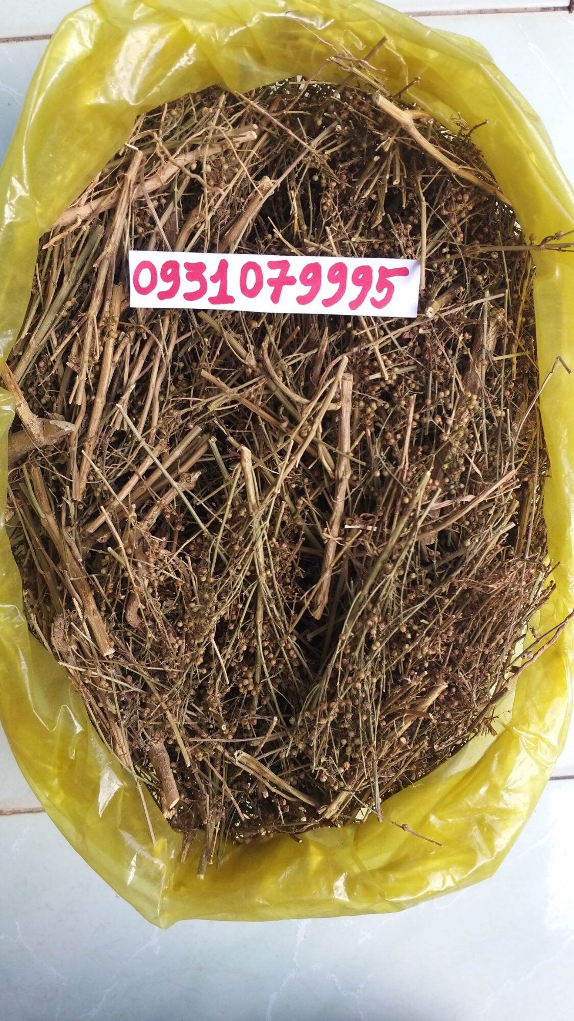 cây cam thảo đất - cam thảo nam phơi khô 1kg