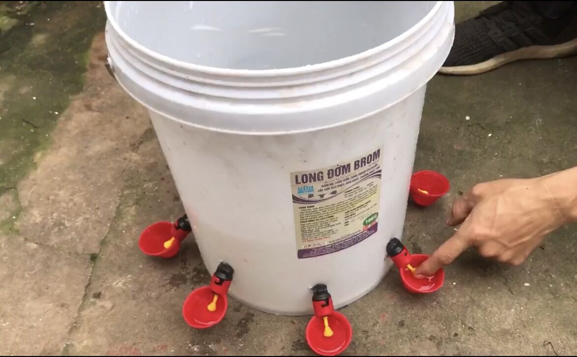 Vòi Uống Nước Tự Động Cho Gà