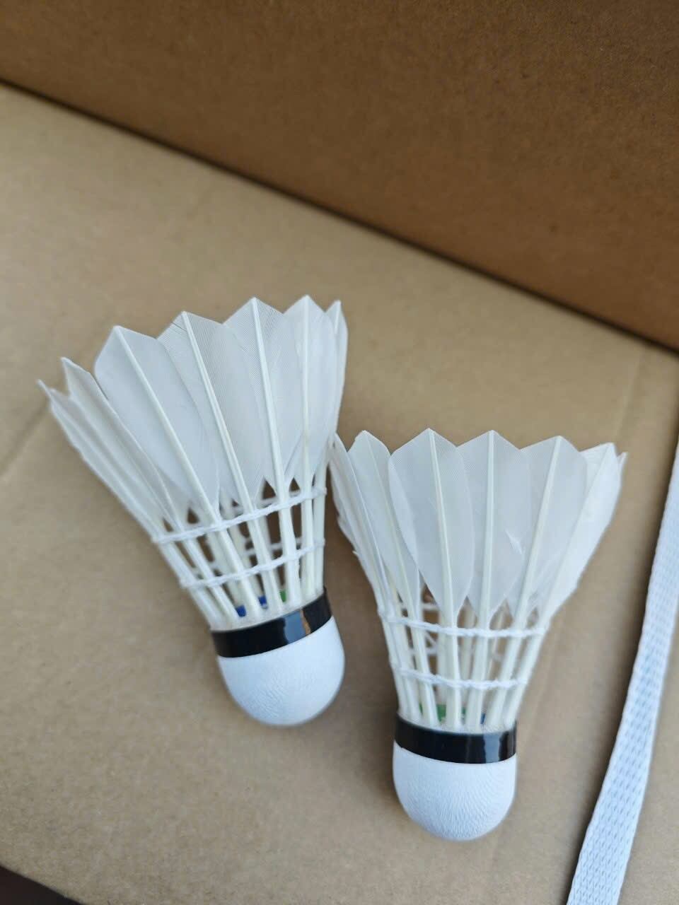ống cầu yonexx 12 quả/[rẻ sập sàn]