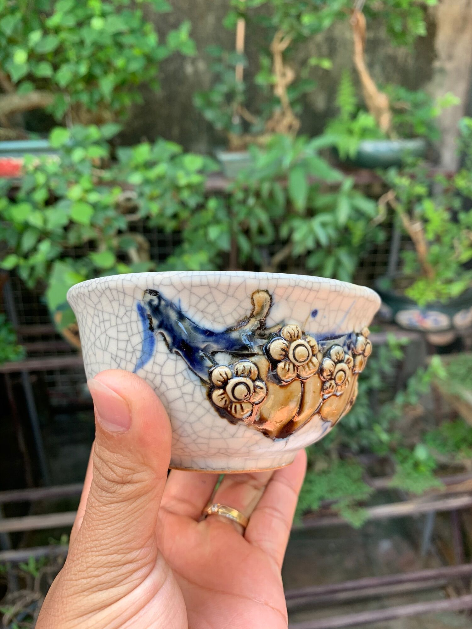 Chậu trồng cây bonsai mini