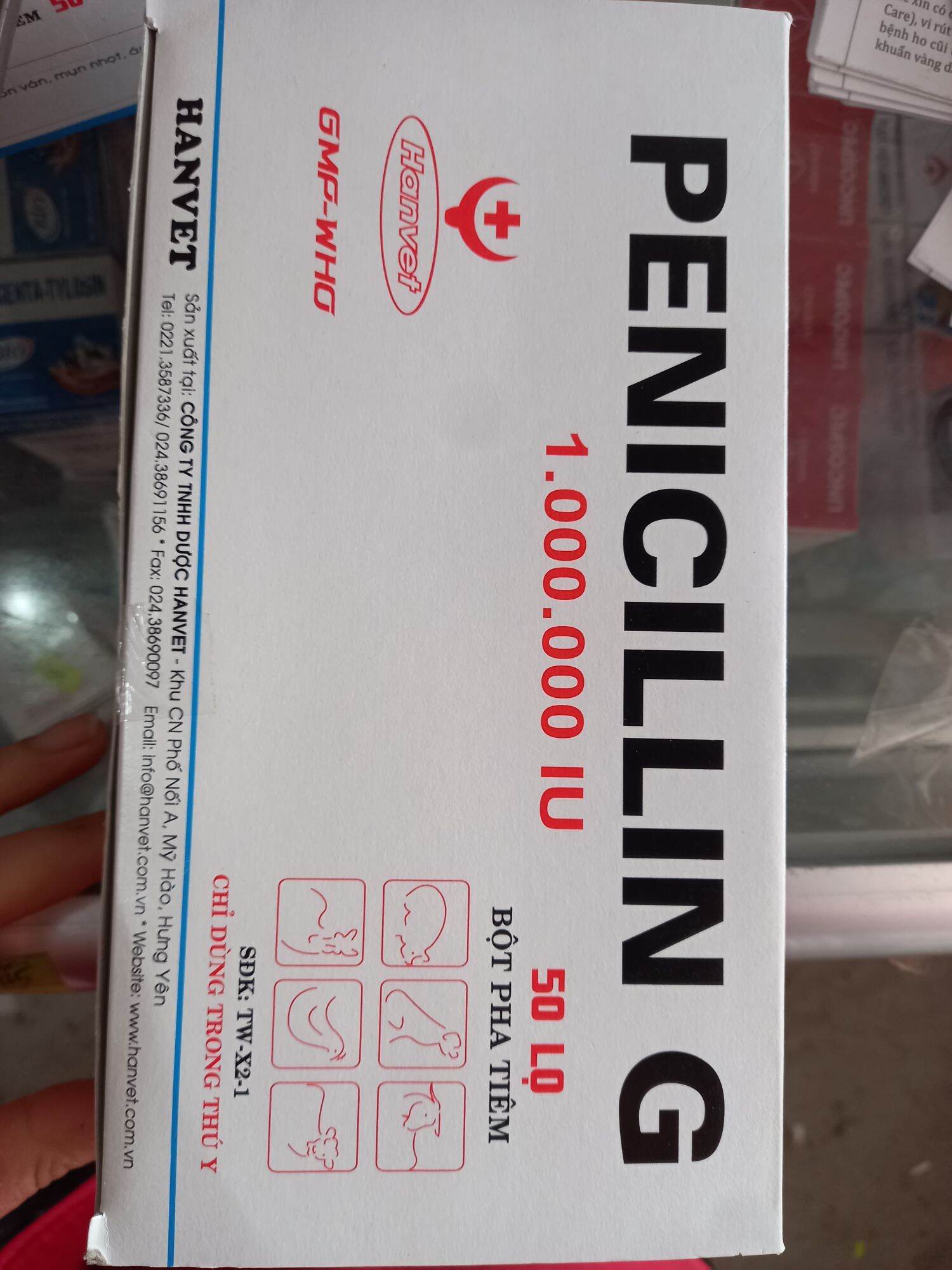 Penicilin1g của hanvet