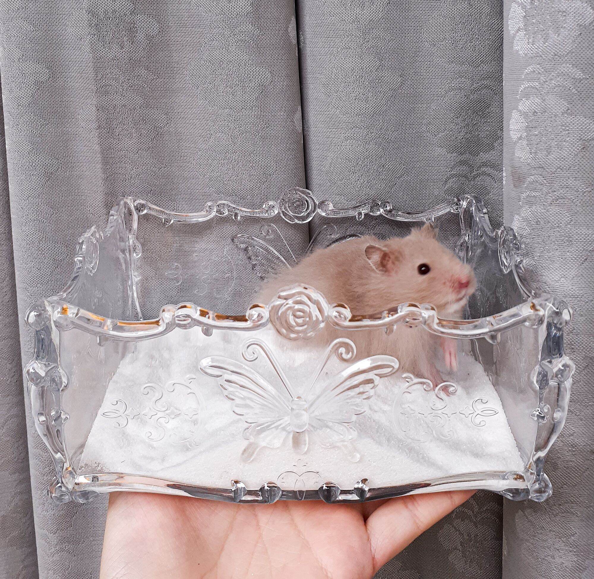 Nhà tắm Princess Luxury cho hamster