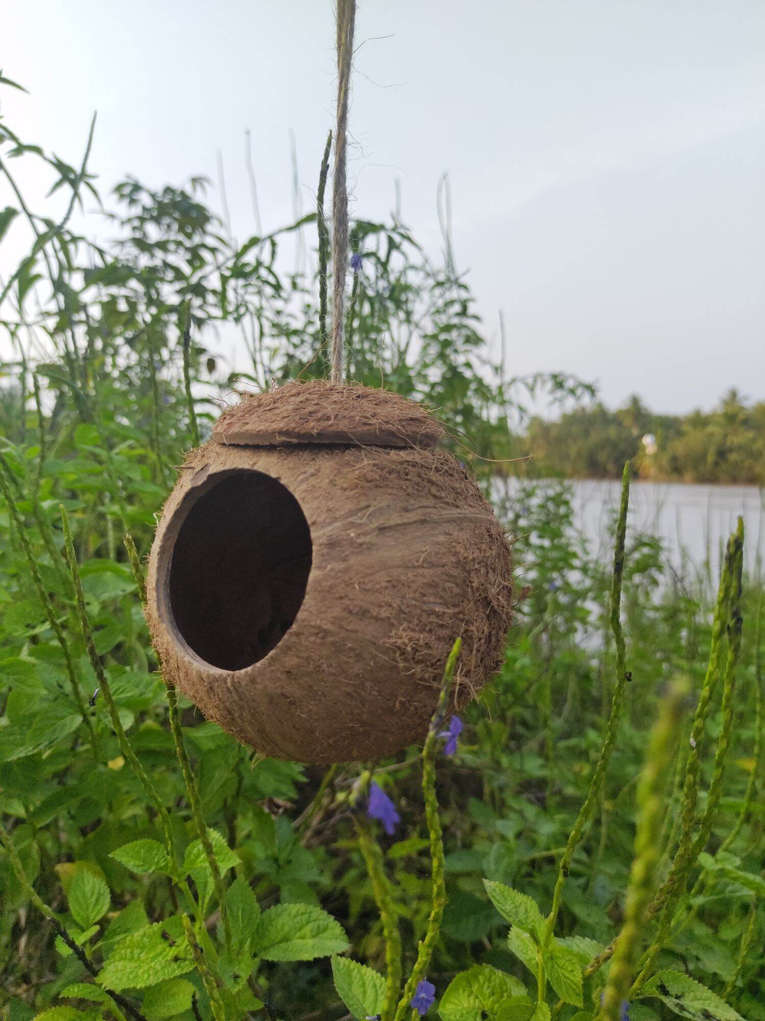 Tổ chim, sóc, thú cưng bằng gáo dừa