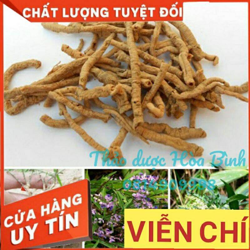 Viễn Chí 100g - Hàng chuẩn chất lượng 1, đã bỏ lõi, sao vàng, khô, mới, sạch