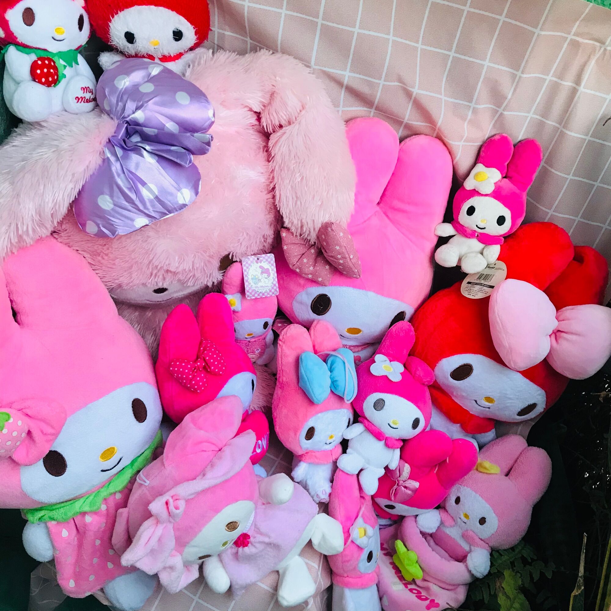 Gấu bông Melody lông xù màu đỏ size 30cm