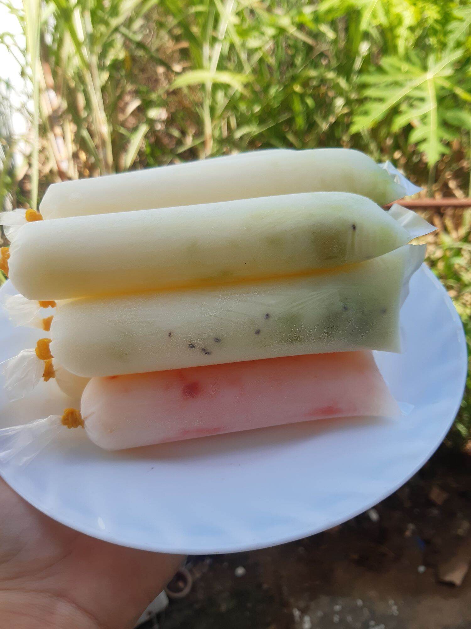 combo kefir và túi 4x16 làm sữa chua( nấm, rây, muỗng và 100gr túi)