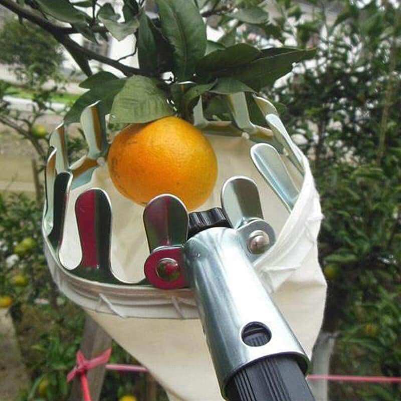 Đầu vợt hái trái cây bằng inox