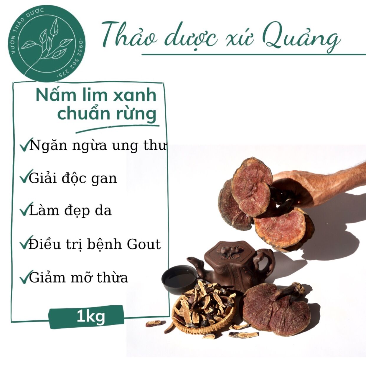 Nấm lim xanh rừng loại thượng hạng - 100% chuẩn rừng