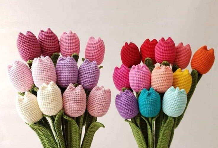 Hoa len tulip