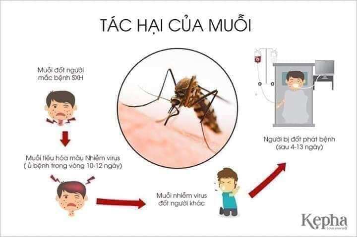 Đèn đuổi muỗi Tam Bảo An