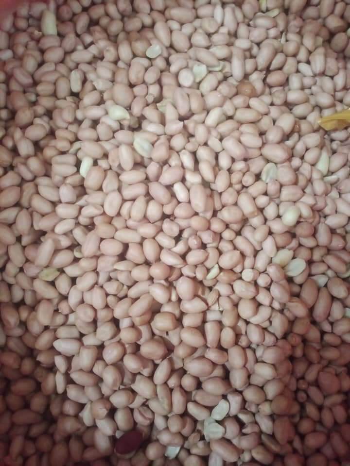 Lạc quê nghệ An 1kg