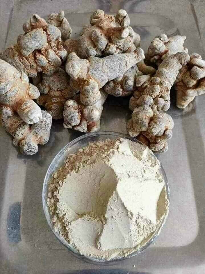 100gr Bột củ tam thất bắc hàng chuẩn không pha