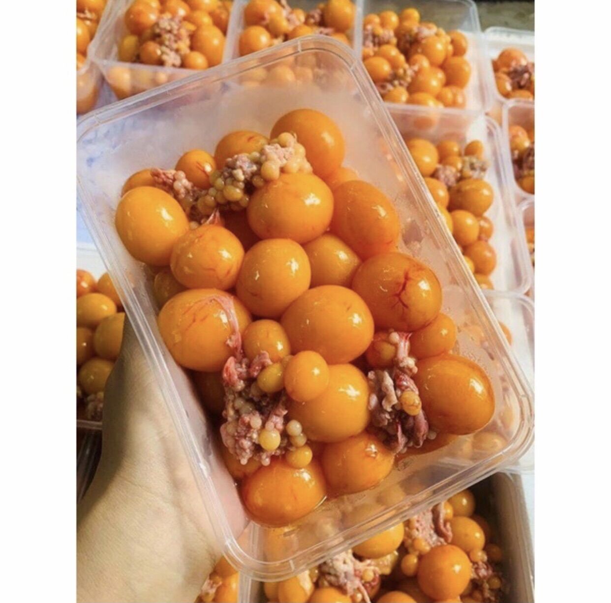 Trứng gà non hộp 500g (Ship hoả tốc HCM)