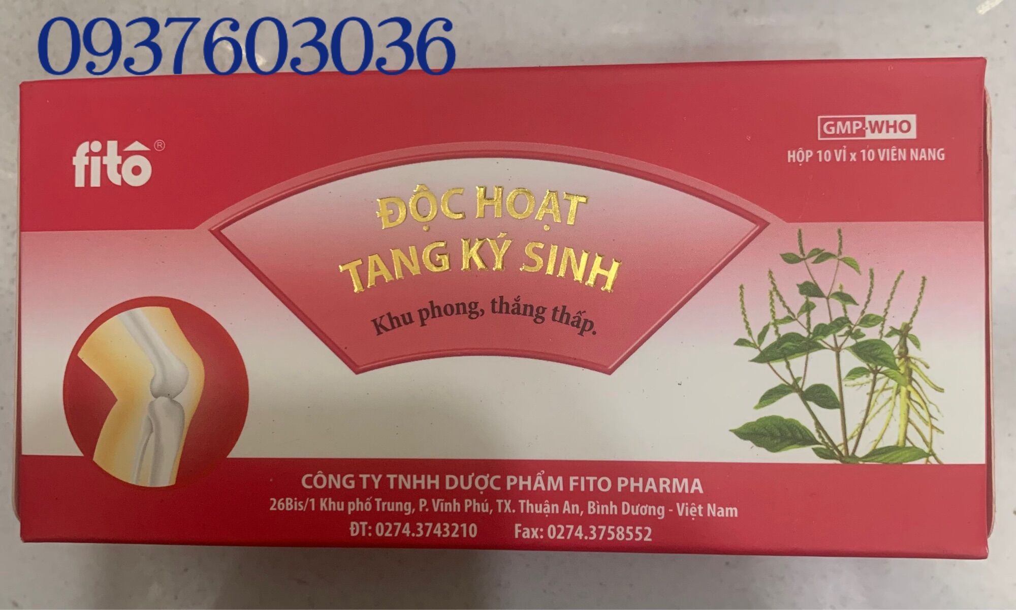 Độc hoạt tang ký sinh Fito
