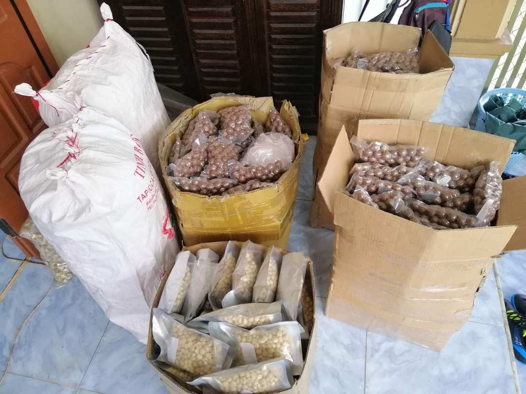 Nhân macca sấy đã bóc vỏ hạt to ngon