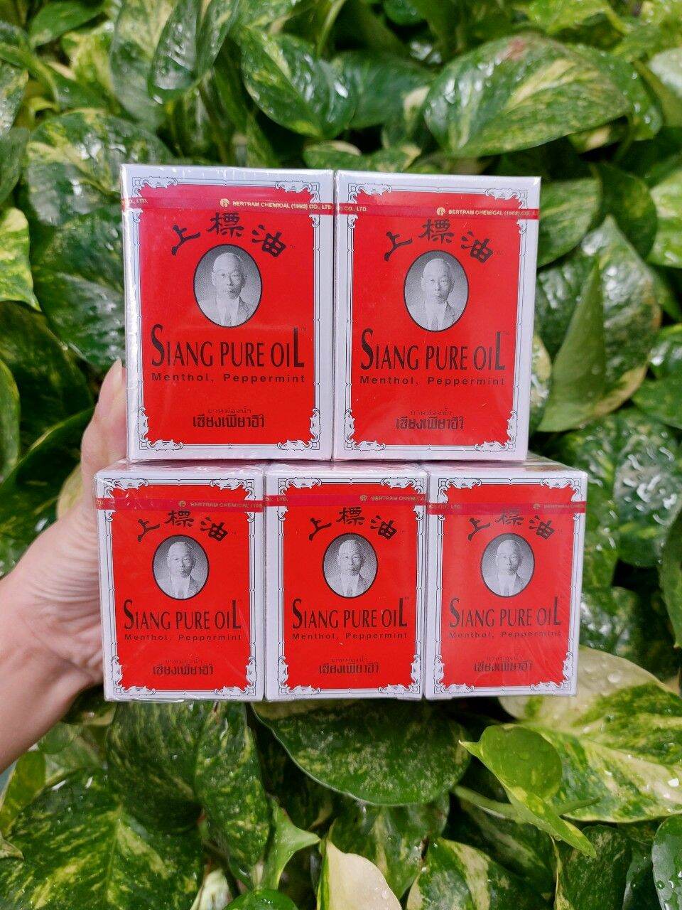 Dầu gió Ông già Thái lố 12chai 3ml