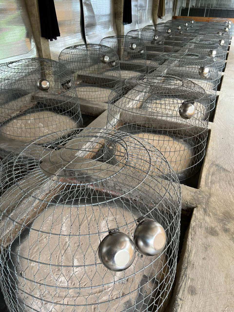 Máng Cho Gà Đá Ăn Uống