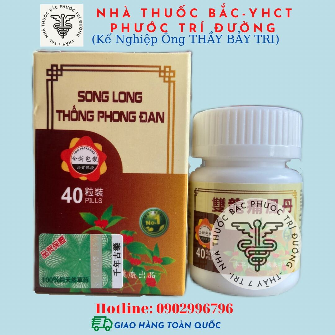 Xương Khớp Song Long Thống Phong Đan XỊN