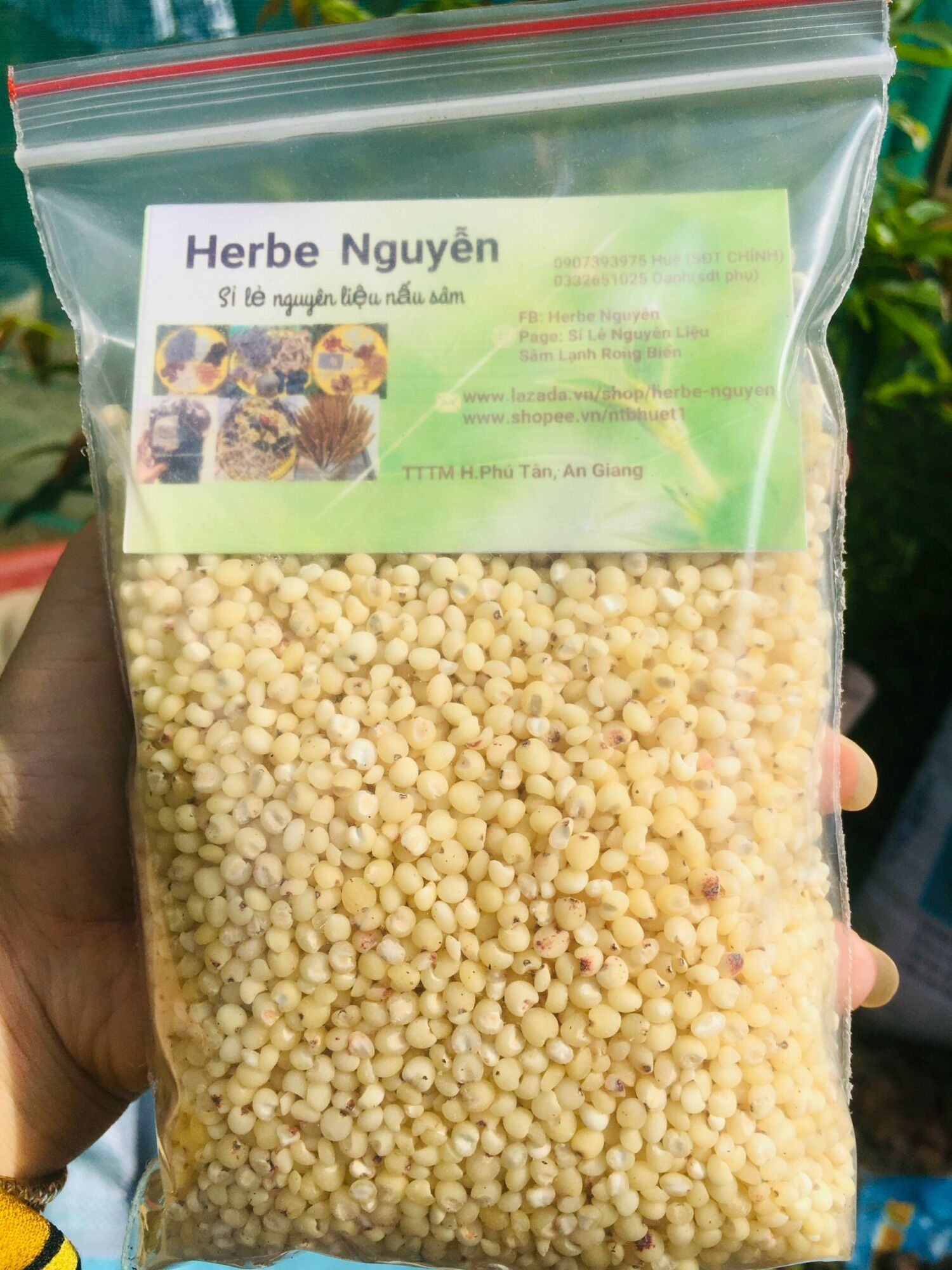 Ý dĩ - bo bo trắng -200g