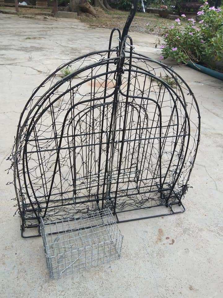 Mẹt Treo Bẫy Bìm Bịp Vừa Treo Cây Vừa Đánh Đất Mẫu Mới Nhất 2021