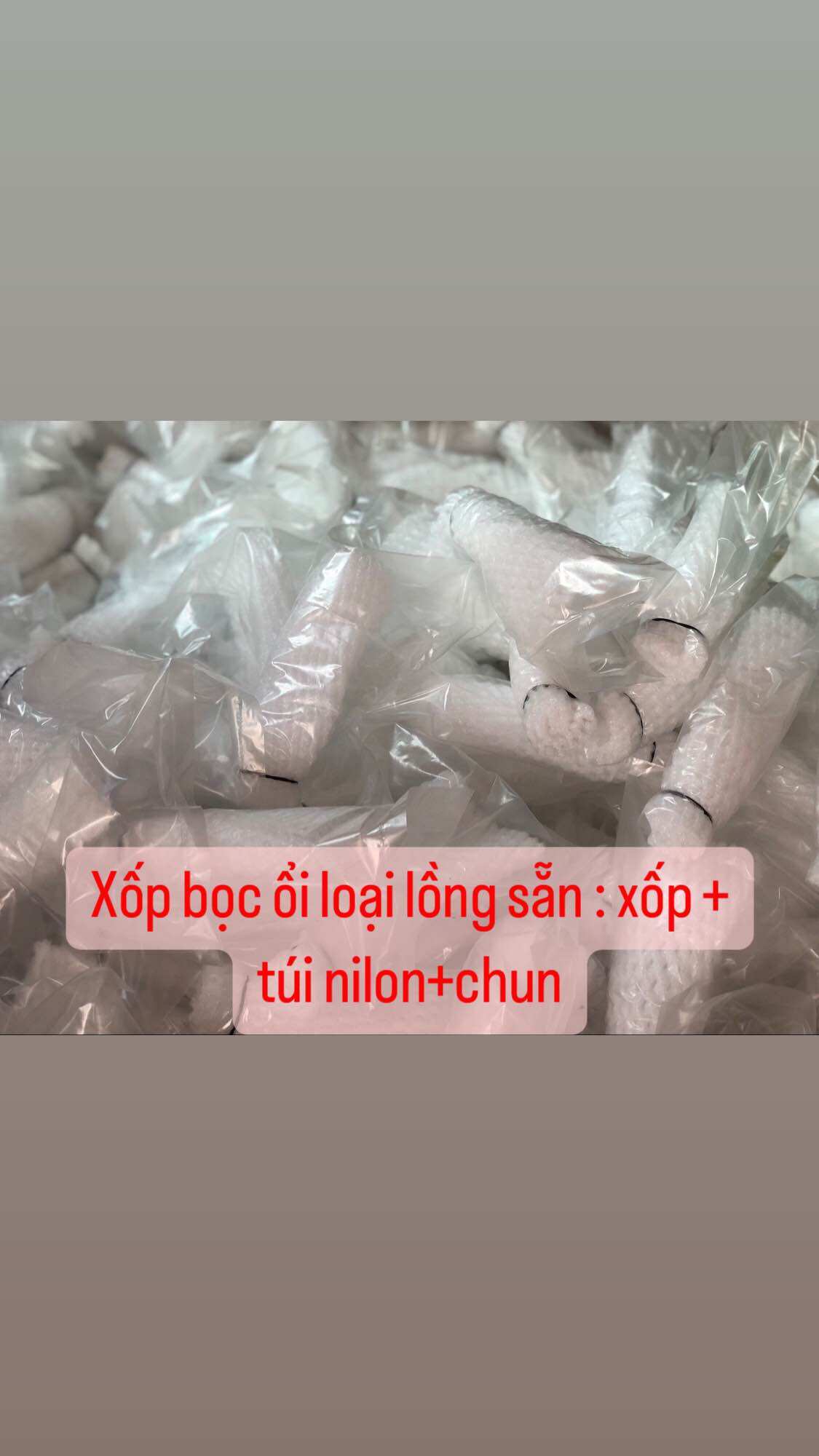 50 túi xốp bọc ổi loại lồng sẵn